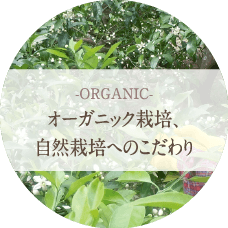オーガニック栽培、自然栽培へのこだわり